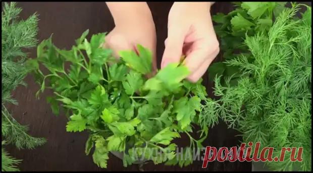 Спросила у продавца на рынке почему зелень не вянет на прилавке целый день: проверила его способ дома - работает! + подборка рецептов с зеленью! - Ваши любимые рецепты - медиаплатформа МирТесен