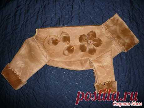 Выкройка комбинезона для китайской хохлатой собаки - Гардероб для наших любимых питомцев (собак, кошек) - Страна Мам