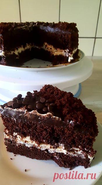 უგემრიელესი ,უფაფუკესი შოკოლადის ნამცხვრით გეახელით ,