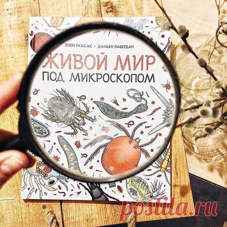 Книги, которые нужно взять с собой на дачу 🌿 Друзья, дачный сезон начался, и очень хочется, чтобы дети проводили время на природе весело и интересно. Составили список книг, которые обязательно нужно взять с собой на дачу. Сохраняйте! «Живой мир под микроскопом» — это невероятная книга о микромирах, которая позволяет не только прочитать о микроскопических существах, которые населяют нашу планету, но и подробно их рассмотреть. На красочных раскладных страницах с большим увеличением и в масштабе…