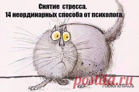 Как неординарно снимать стресс / Научный хит