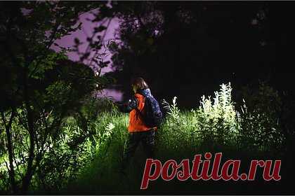 Семилетний ребенок исчез в российском городе