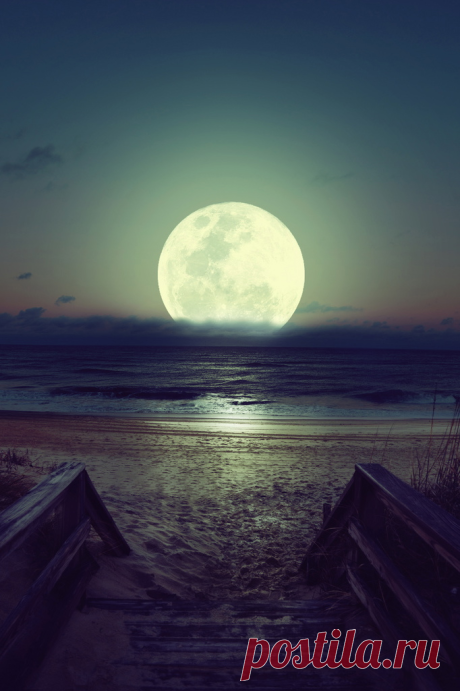 r2–d2:
““     Moon
” ”