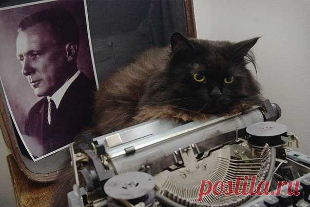 На страницах рукописи 