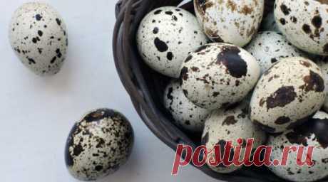 🥚 О пользе перепелиных яиц