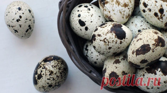 🥚 О пользе перепелиных яиц