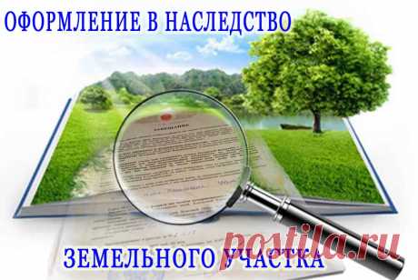 Как оформить землю в собственность: документы и порядок процедуры