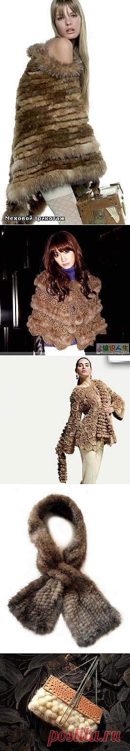 МЕХОВАЯ КРАСОТА | Записи в рубрике МЕХОВАЯ КРАСОТА | Дневник tanita_stk