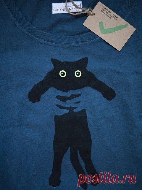 Котики (трафик) / Тенденции / ВТОРАЯ УЛИЦА