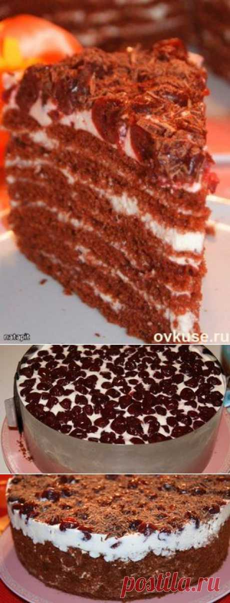 Торт&quot;Шоколадно-молочная девочка&quot; - Простые рецепты Овкусе.ру