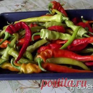 В Египте убит лидер "Исламского государства"