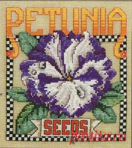 Gallery.ru / Фото #8 - Цветочные семена - Clematis