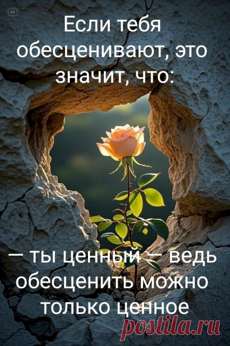 763d641f.jpg (682×1024)