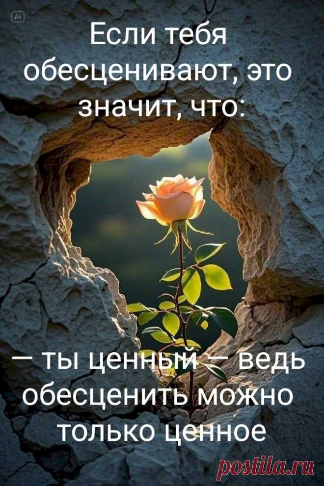 763d641f.jpg (682×1024)