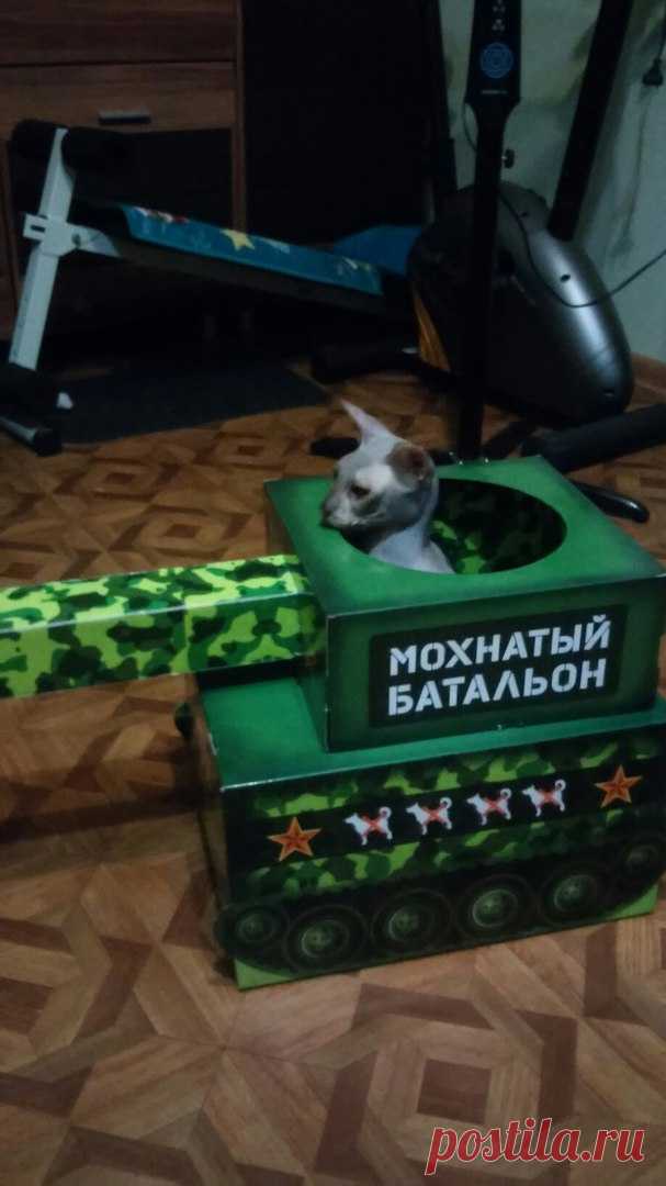 Подарок на День танкиста