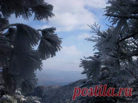 Приморье today