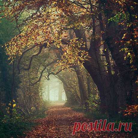 Autumn in my heart. Forever.