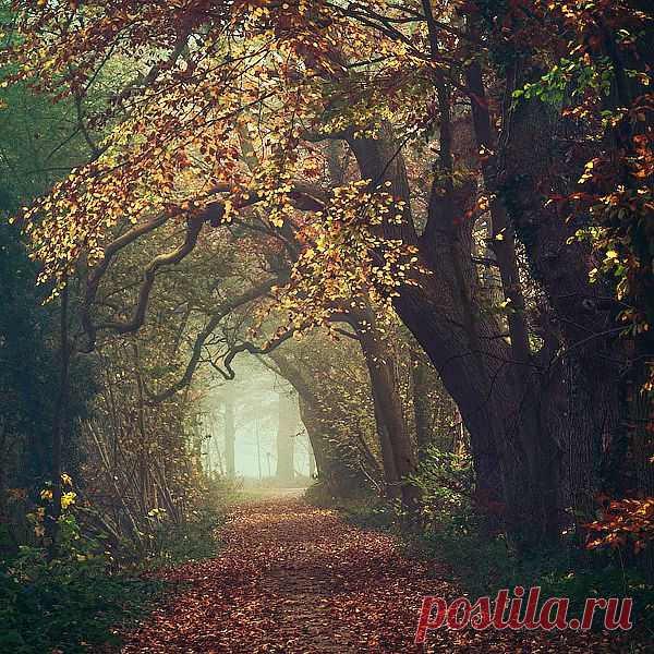 Autumn in my heart. Forever.