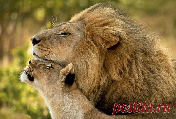 Вам и не снилось...
W G