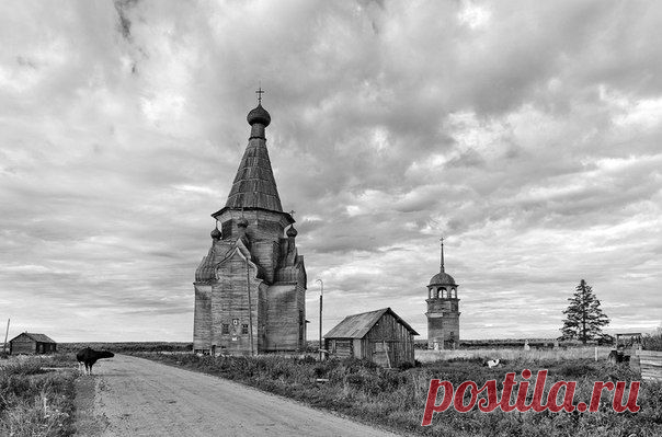 Дер. Пияла на р. Онега. Архангельская об / Удивительное искусство