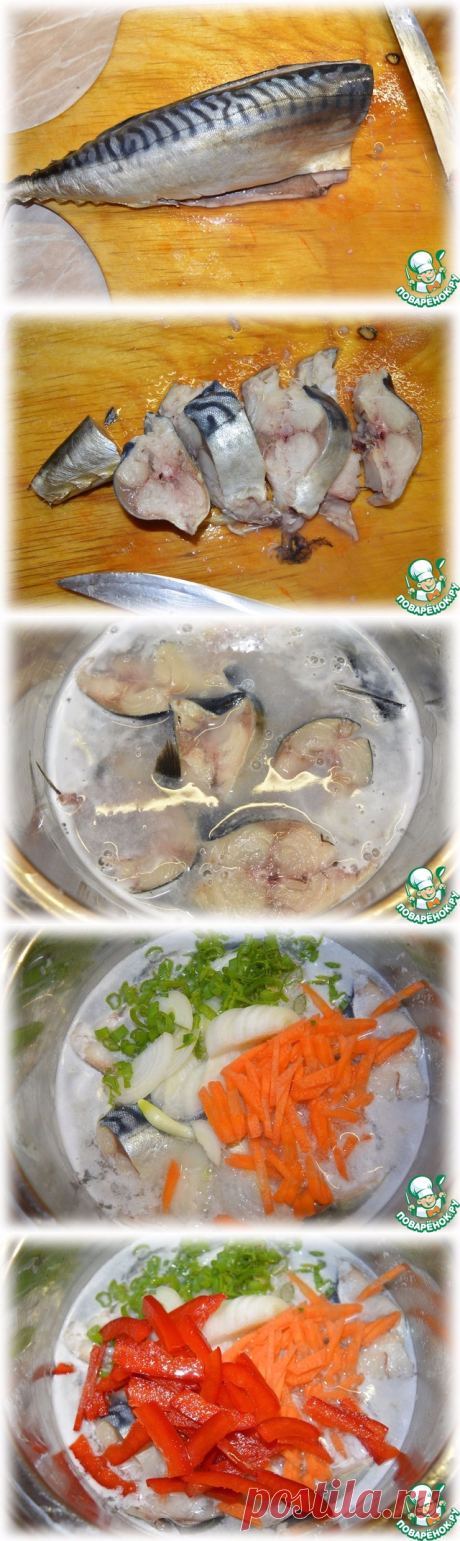 ХЕ ИЗ СКУМБРИИ С ОВОЩАМИ