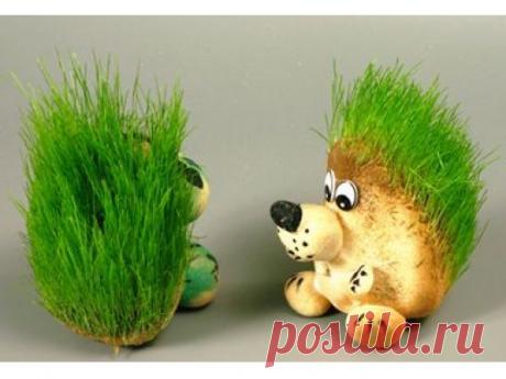 Пшеница посаженная на спину ежиков сделанная из глины