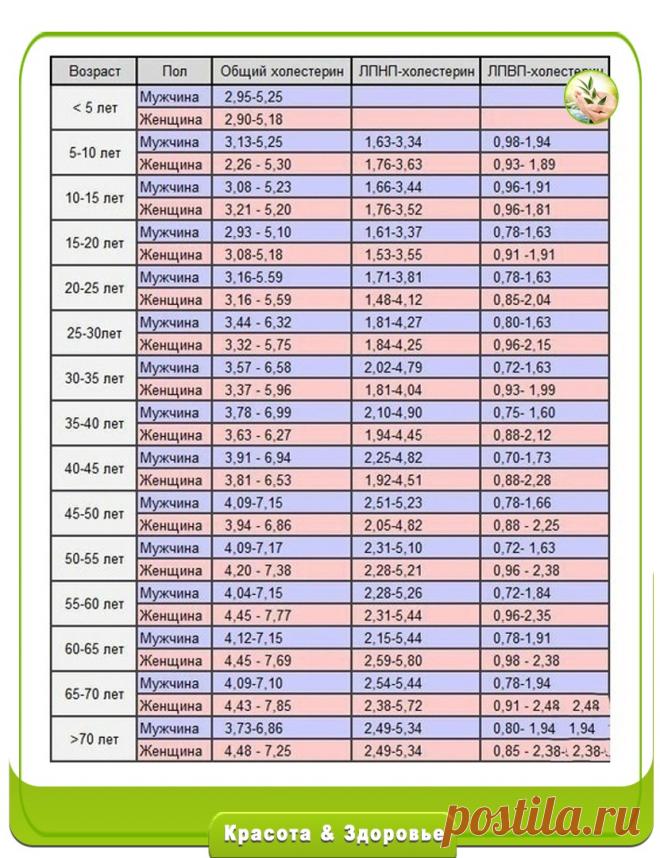 AsRDOUj2vxs.jpg (831×1080)