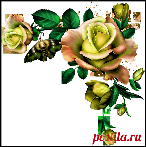 клипарт декоративные элементы