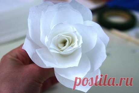 Роза из бумаги — Поделки с детьми