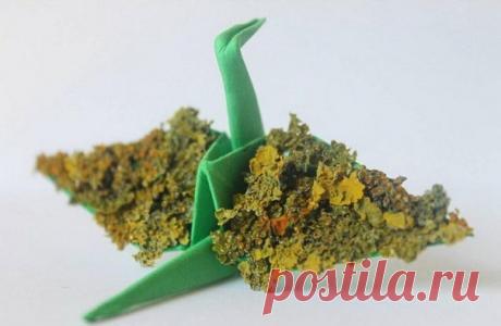 Мастер оригами Кристиан Марианчус каждый день создает по одному бумажному журавлю, с помощью него описывая свое состояние в течение дня. / Удивительное искусство