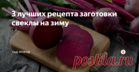 3 лучших рецепта заготовки свеклы на зиму Пришла пора когда с огорода пора убирать свеклу, а значит нужно рассказать вам и то, как заготавливать её на зиму, чтобы было просто и вкусно. И данная статья целиком и полностью будет этому посвящена, ниже я расскажу три самых лучших рецепта из свеклы.