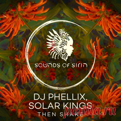 DJ Phellix, Solar Kings - Then Shake free download mp3 music 320kbps