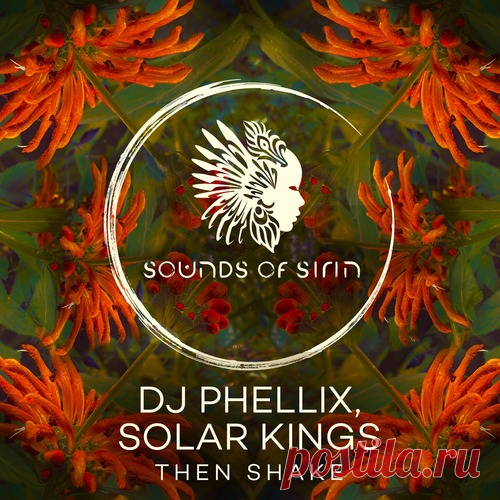 DJ Phellix, Solar Kings - Then Shake free download mp3 music 320kbps