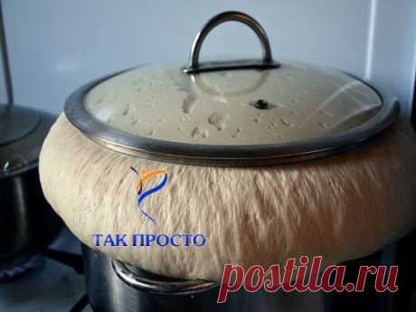 Дрожжевое тесто для ленивых за 5 минут!!!