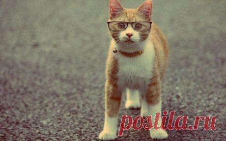 Роскошная лексика уровня С1 / Неформальный Английский