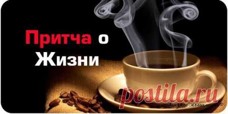 Группа выпускников престижного вуза, у профессору / Сферический бизнес