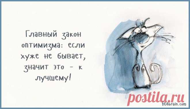 Весёлые картинки – Фитнес для мозга