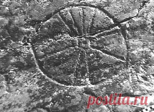 Наскальные рисунки древности - Боги, пришельцы, НЛО | Земля - Хроники жизни