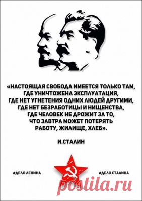 Солженицына: «Патриотизм — это не только гордость за свою страну, но и стыд»