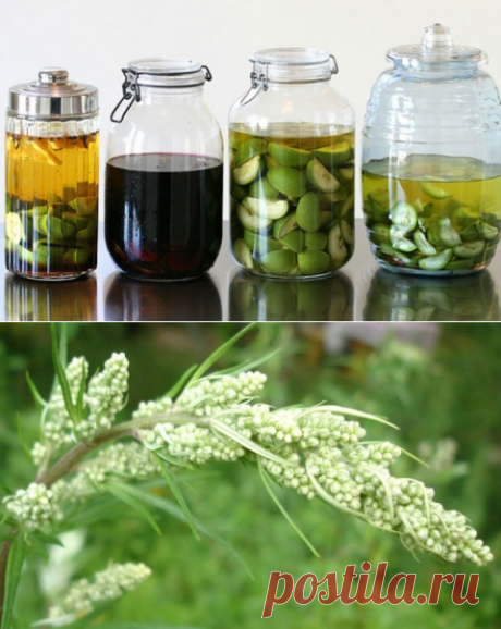 Схема очищения организма по методу Огулова