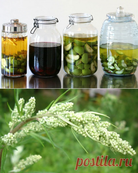 Схема очищения организма по методу Огулова