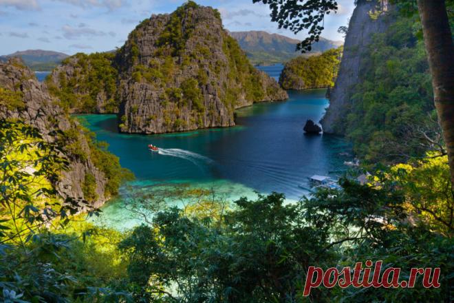 Как на Филиппинах живется фрилансерам | Чёрт побери Все, что нужно знать, чтобы переехать на Филиппины на несколько месяцев или лет и влюбиться в эту тропическую страну.   До недавнего времени я работал в офисе, в небольшом провинциальном городишке на юге Приморского края. Но моей мечтой всегда было переехать жить в тропические страны и научиться работать удаленно. До того, как осуществилась моя мечта, я несколько раз посещал Таиланд в зимнее время года и проводил там свой...