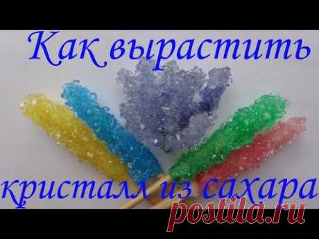 Как вырастить кристалл из сахара! Опыты для детей!