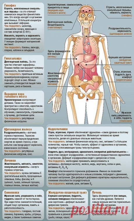 КАРТА ЭМОЦИЙ ЧЕЛОВЕКА