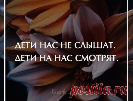 Качество жизни
