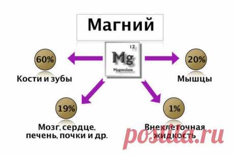 Дефицит магния в женском организме становится виновником проблем со здоровьем | Будем здоровы | Яндекс Дзен