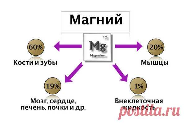 Дефицит магния в женском организме становится виновником проблем со здоровьем | Будем здоровы | Яндекс Дзен