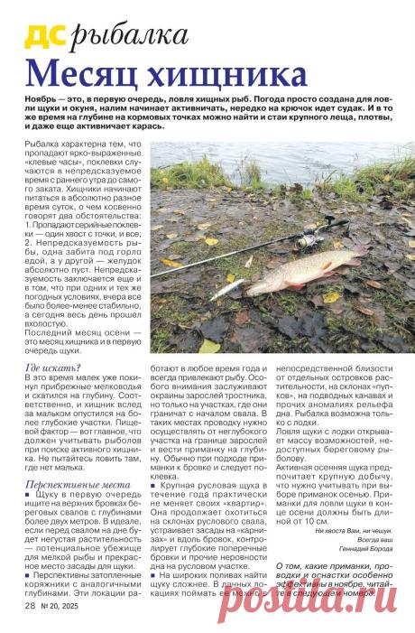 Рыбалка. Месяц хищника