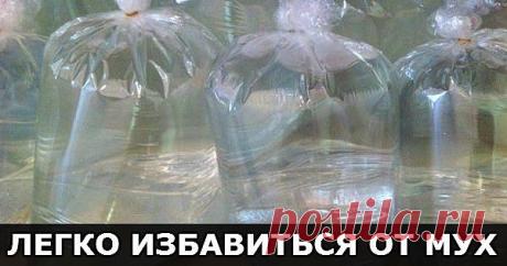 (4) Одноклассники
