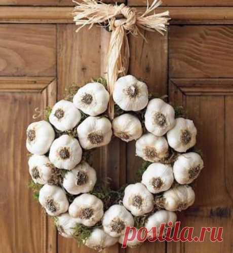 Чеснок - полезные свойства и противопоказания. Как выбрать и хранить? | likefoods.ru